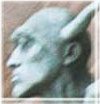 View the Gallery