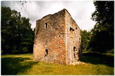 Thetford Warren