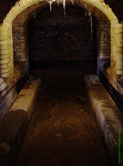 cobwebs hang from  some of the ceilings