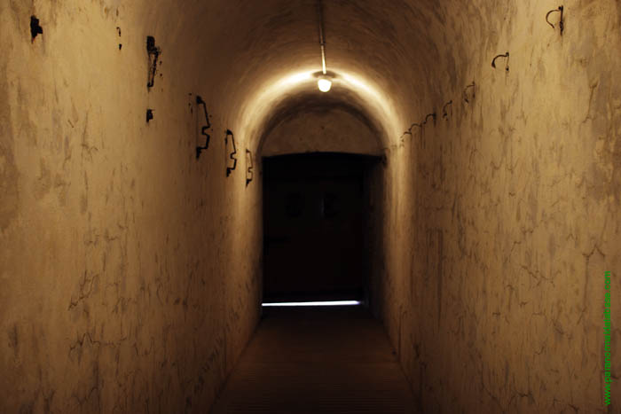 A door leading to the outside world