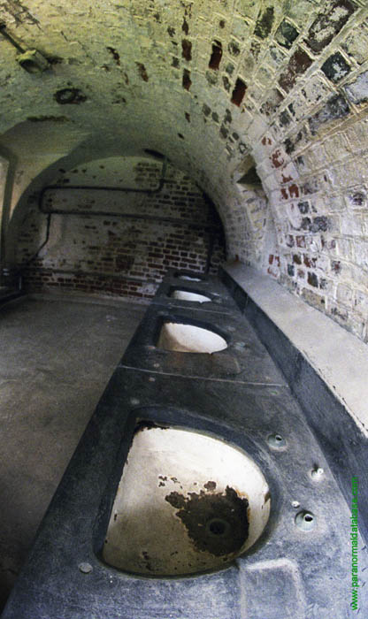 a row of aging sinks in the bathroom