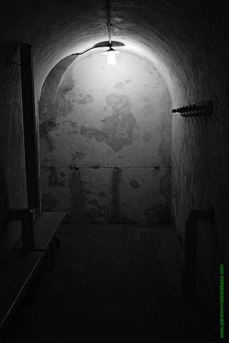 another dimly lit corridor